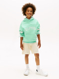 Green Mixed Logo Graphic Hoody  Boys
