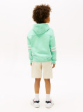 Green Mixed Logo Graphic Hoody  Boys