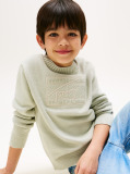 Green Signature Tonal Logo Flag Jumper  Boys
