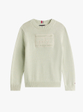 Green Signature Tonal Logo Flag Jumper  Boys