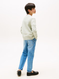 Green Signature Tonal Logo Flag Jumper  Boys