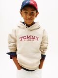 Beige Logo Print Fleece Hoody  Boys