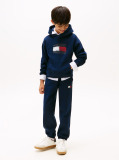 Blue Hilfiger Flag Hoody  Boys