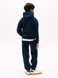 Blue Hilfiger Flag Hoody  Boys