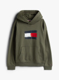 Green Hilfiger Flag Hoody  Boys