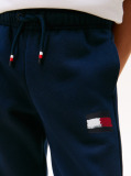 Blue Hilfiger Flag Regular Fit Joggers  Boys