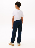 Blue Hilfiger Flag Regular Fit Joggers  Boys