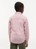 Multi Stretch Cotton Poplin Shirt  Boys