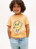 Orange Graphic Print Jersey T-Shirt  Boys
