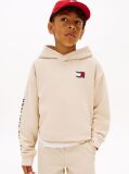Beige Wavy Flag Terry Hoody  Boys
