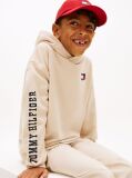 Beige Wavy Flag Terry Hoody  Boys