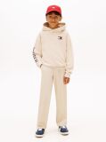 Beige Wavy Flag Terry Hoody  Boys