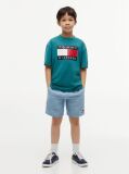 Blue Heritage Flag Print Jersey T-Shirt  Boys