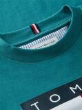 Blue Heritage Flag Print Jersey T-Shirt  Boys
