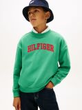 Green Logo Terry Crew Neck Sweatshirt  Boys