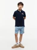 Blue Regular Fit Graphic Embroidery Polo Shirt  Boys