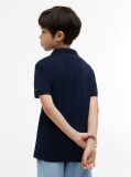 Blue Regular Fit Graphic Embroidery Polo Shirt  Boys