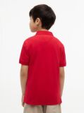 Red Regular Fit Graphic Embroidery Polo Shirt  Boys