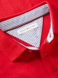 Red Regular Fit Graphic Embroidery Polo Shirt  Boys