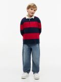 Multi Regular Fit Stripe Long Sleeve Polo Shirt  Boys
