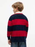 Multi Regular Fit Stripe Long Sleeve Polo Shirt  Boys