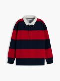 Multi Regular Fit Stripe Long Sleeve Polo Shirt  Boys
