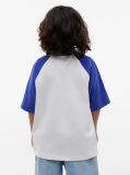 Blue Logo Colour-Blocked Raglan Sleeve T-Shirt  Boys