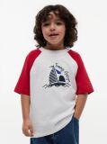 Red Logo Colour-Blocked Raglan Sleeve T-Shirt  Boys