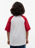 Red Logo Colour-Blocked Raglan Sleeve T-Shirt  Boys