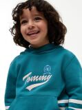 Blue Crest Logo Hoody  Boys