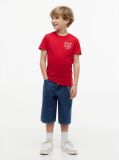 Red Outline Flag Logo Jersey T-Shirt  Boys