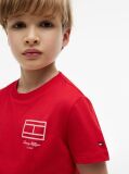 Red Outline Flag Logo Jersey T-Shirt  Boys