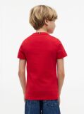 Red Outline Flag Logo Jersey T-Shirt  Boys