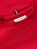 Red Outline Flag Logo Jersey T-Shirt  Boys