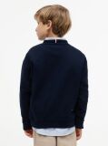 Blue Outline Flag Logo Terry Sweatshirt  Boys