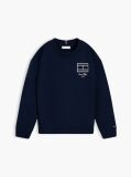 Blue Outline Flag Logo Terry Sweatshirt  Boys