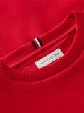 Red Outline Flag Logo Terry Sweatshirt  Boys