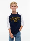 Blue Colour-Blocked Varsity Logo T-Shirt  Boys