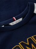 Blue Colour-Blocked Varsity Logo T-Shirt  Boys