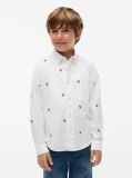White Regular Fit Varsity Oxford Shirt  Boys
