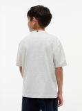 Grey Varsity Logo Jersey T-Shirt  Boys