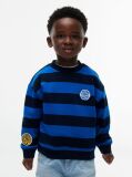 Multi Stripe Logo Badge Crew Neck Sweatshirt  Boys
