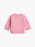 Pink Mini Sweatshirt  Newborn