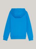 Blue Essential Logo Hoody  Kids Unisex