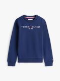 Blue Hanorac cu logo esențial  Kids Unisex