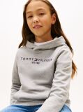Grey Essential Organic Cotton Hoodie With Logo  Kids Unisex