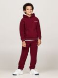 Red Hilfiger Monotype Polar Fleece Hoody  Kids Unisex