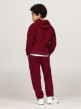 Red Hilfiger Monotype Polar Fleece Hoody  Kids Unisex