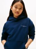 Blue Signature Tape Logo Hoody  Kids Unisex