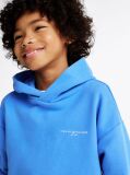 Blue Signature Tape Logo Hoody  Kids Unisex